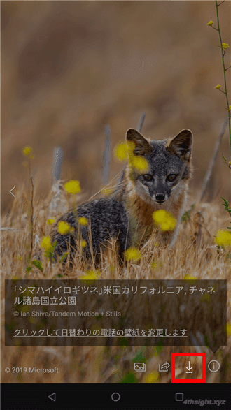Android端末の壁紙にBing検索の日替わり写真を表示する方法。
