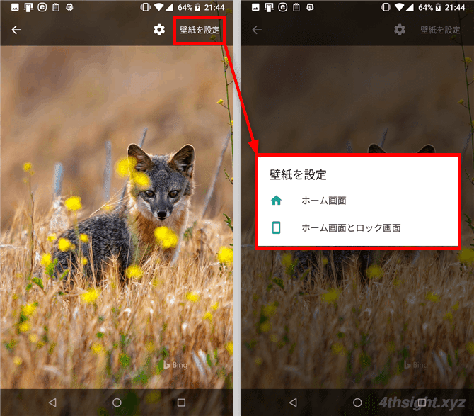 Android端末の壁紙にBing検索の日替わり写真を表示する方法。