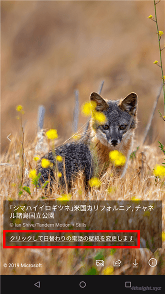 Android端末の壁紙にBing検索の日替わり写真を表示する方法。